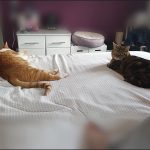 changing plans