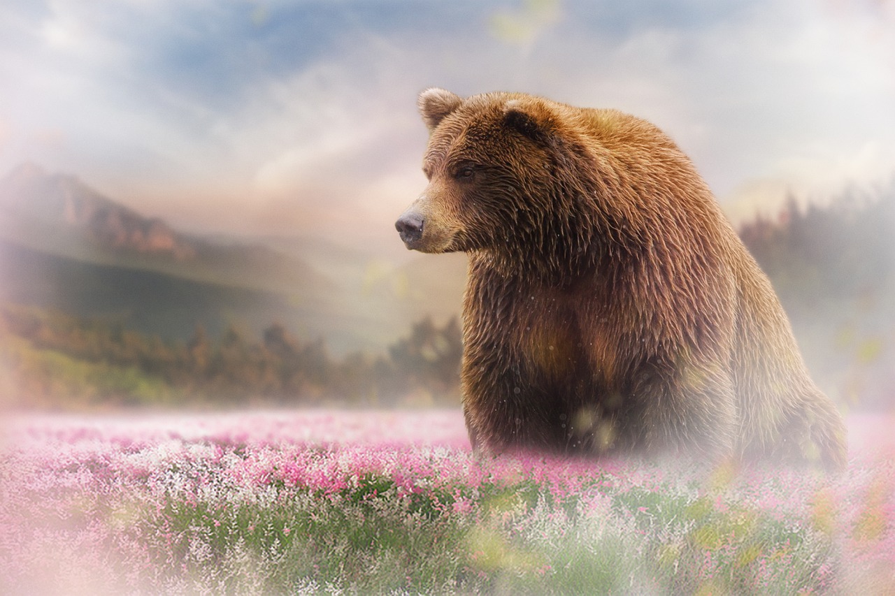 A brown bear in a field of flowers. Spirit Animal. Image by Bianca van Dijk from Pixabay 